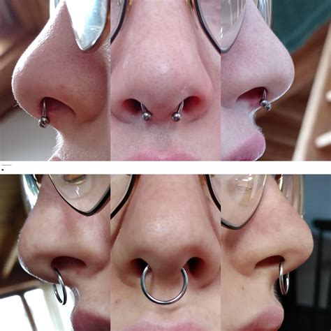 anatomy for septum piercing|septum piercing locations.